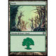 (Foil) Terrain - Forêt (V2) (L) [SOM]