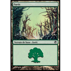 (Foil) Terrain - Forêt (V2) (L) [SOM]