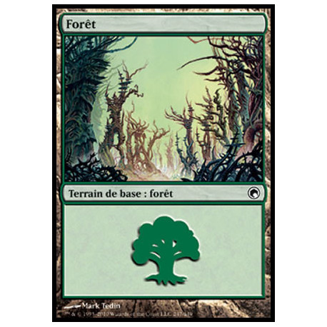 (Foil) Terrain - Forêt (V2) (L) [SOM]