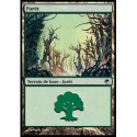 (Foil) Terrain - Forêt (V2) (L) [SOM]