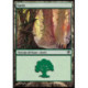 (Foil) Terrain - Forêt (V4) (L) [SOM]