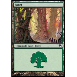 (Foil) Terrain - Forêt (V4) (L) [SOM]