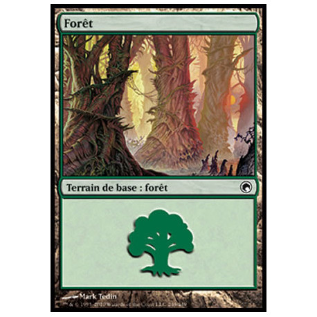 (Foil) Terrain - Forêt (V4) (L) [SOM]