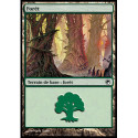 (Foil) Terrain - Forêt (V4) (L) [SOM]