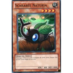 Scarabée Naturia (SR) [HA02]