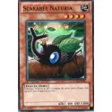 Scarabée Naturia (SR) [HA02]