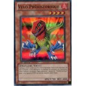 Vélo Préhistorique (SR) [HA02]