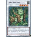 Lion Naturia (STR) [HA02]