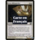 (Foil) Blanche - Avemain gardefaille (C) [PLC]