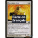 (Foil) Blanche - Lion à crinière blanche (C) [PLC]