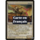 (Foil) Blanche - Calciderme (U) [PLC]