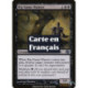 (Foil) Noire - Chasseur de gros gibier (U) [PLC]