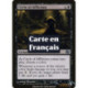 (Foil) Noire - Cercle de l'affliction (U) [PLC]
