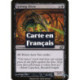 (Foil) Noire - Slivoïde cracheur (C) [PLC]
