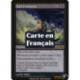 (Foil) Noire - Profusion d'annulations (R) [PLC]