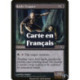(Foil) Noire - Trappeur rajhi (C) [PLC]