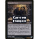 (Foil) Noire - Sapience camouflée (U) [PLC]