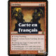 (Foil) Rouge - Torchelin (R) [PLC]