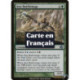 (Foil) Verte - Mage de bataille anaïste (U) [PLC]