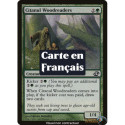 (Foil) Verte - Déchiffre-bois de Citalune (C) [PLC]