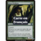 (Foil) Verte - Prédateur kavru (U) [PLC]
