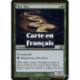 (Foil) Verte - Boa des fondrières (C) [PLC]