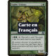 (Foil) Verte - Centaure sophique (U) [PLC]