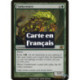 (Foil) Verte - Cheval de forêt (R) [PLC]