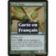 (Foil) Verte - Drakôn de l'Ouktabi (C) [PLC]