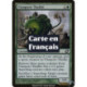 (Foil) Verte - Thallidé vitaspore (C) [PLC]