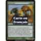 (Foil) Verte - Paire sauvage (R) [PLC]