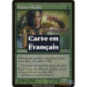 (Foil) Verte - Garde d'essence (C) [PLC]