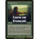 (Foil) Verte - Voyante de Fa'adiyah (C) [PLC]