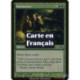 (Foil) Verte - Harmonisation (U) [PLC]