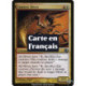 (Foil) Multicolore - Slivoïde cautérisateur (U) [PLC]