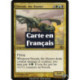 (Foil) Multicolore - Vorosh, le chasseur (R) [PLC]