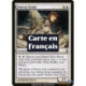 (Foil) Blanche - Éclaireuse amroue (C) [TSP]