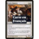 (Foil) Blanche - Rapaces du château (C) [TSP]