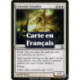 (Foil) Blanche - Croisé céleste (U) [TSP]