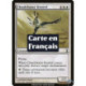 (Foil) Blanche - Crécerelle chasse-nuages (C) [TSP]
