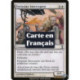 (Foil) Blanche - Intercepteur foriysian (C) [TSP]