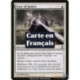 (Foil) Blanche - Regard de la justice (C) [TSP]