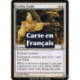 (Foil) Blanche - Guide griffon (U) [TSP]