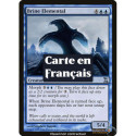 (Foil) Bleue - Élémental des embruns (U) [TSP]