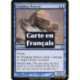(Foil) Bleue - Corgueule juvénile (U) [TSP]