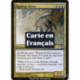 (Foil) Multicolore - Slivoïde opalin (U) [TSP]
