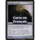 (Foil) Incolore - Ouvrier spécialisé (U) [TSP]