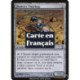 (Foil) Incolore - Insectemporal de Djoïra (C) [TSP]