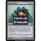 (Foil) Incolore - Floraison de lotus (R) [TSP]