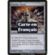(Foil) Incolore - Totem de tonnerre (U) [TSP]